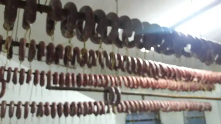 Descubrieron y allanaron una fábrica de chacinados clandestina en Entre Ríos