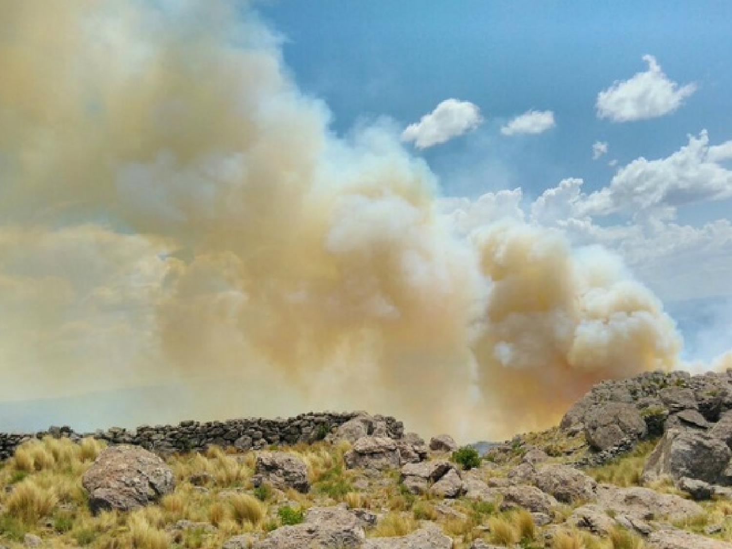 Controlaron el incendio forestal en cercanías de Salsacate