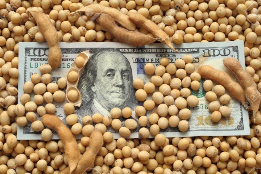 Las ventas de soja suman 6,7 millones de toneladas y el BCRA gana reservas