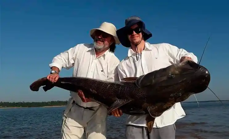 Pescaron surubí de más de 60 kilos en el río Paraná