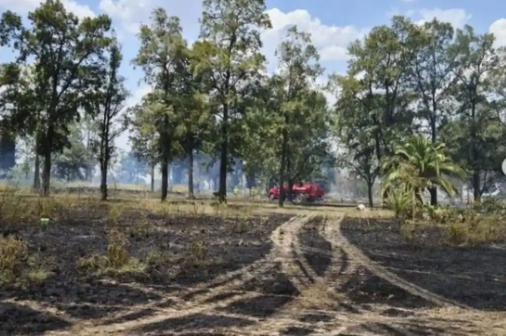 Un incendio arrasó con el Campo Experimental de la Facultad de Ciencias Agrarias