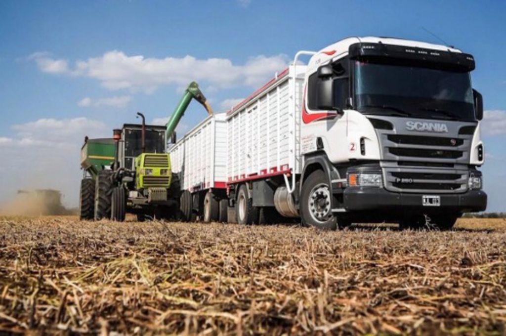 Cosecha de granos de invierno récord con exportaciones por US$ 3.635 millones