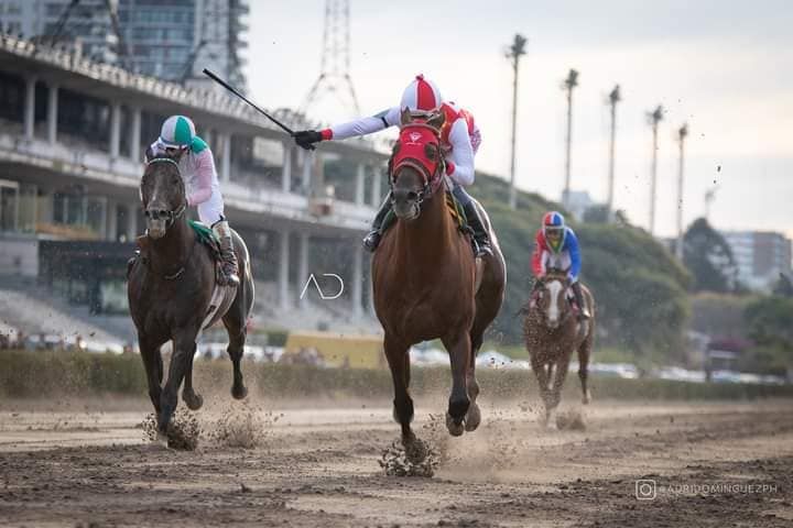 De esta forma definió Balsamic el Gran Premio Manuel Belgrano. Gran trabajo del jockey Wilson Moreyra y una presentación impecable del trainner local Ramón González. La barra agradecida porque superó al favorito.