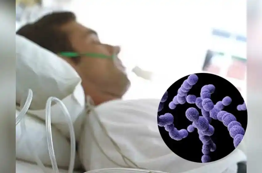 Pergamino: murió un hombre de 38 años por la bacteria estreptococo pyogene