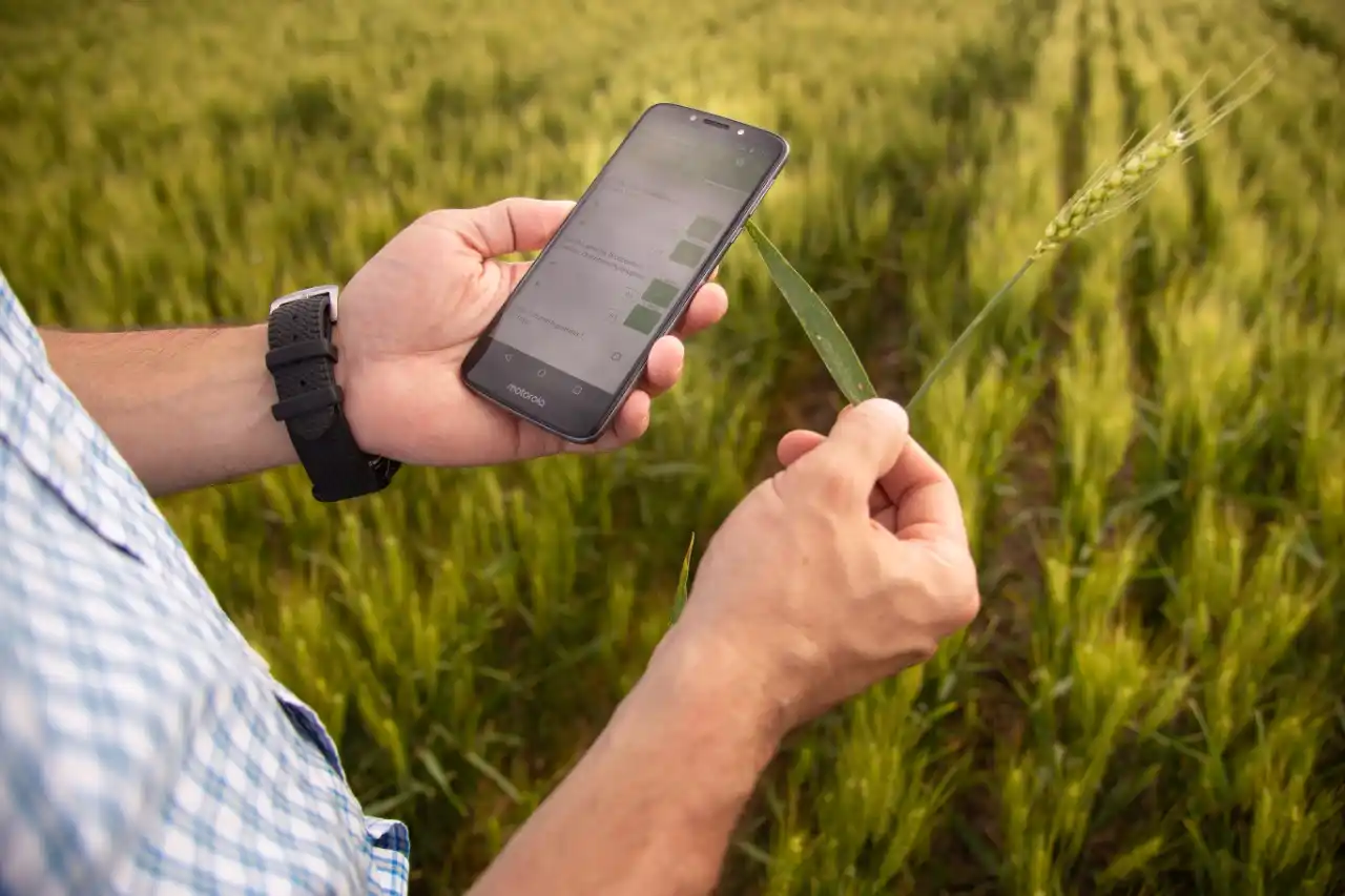 Inteligencia Artificial, un aporte fundamental para la transformación del campo               