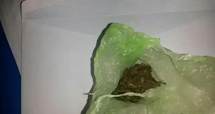 Operativo antidrogas: Secuestran 160 gramos de marihuana y aprehenden a una mujer tras 4 allanamientos