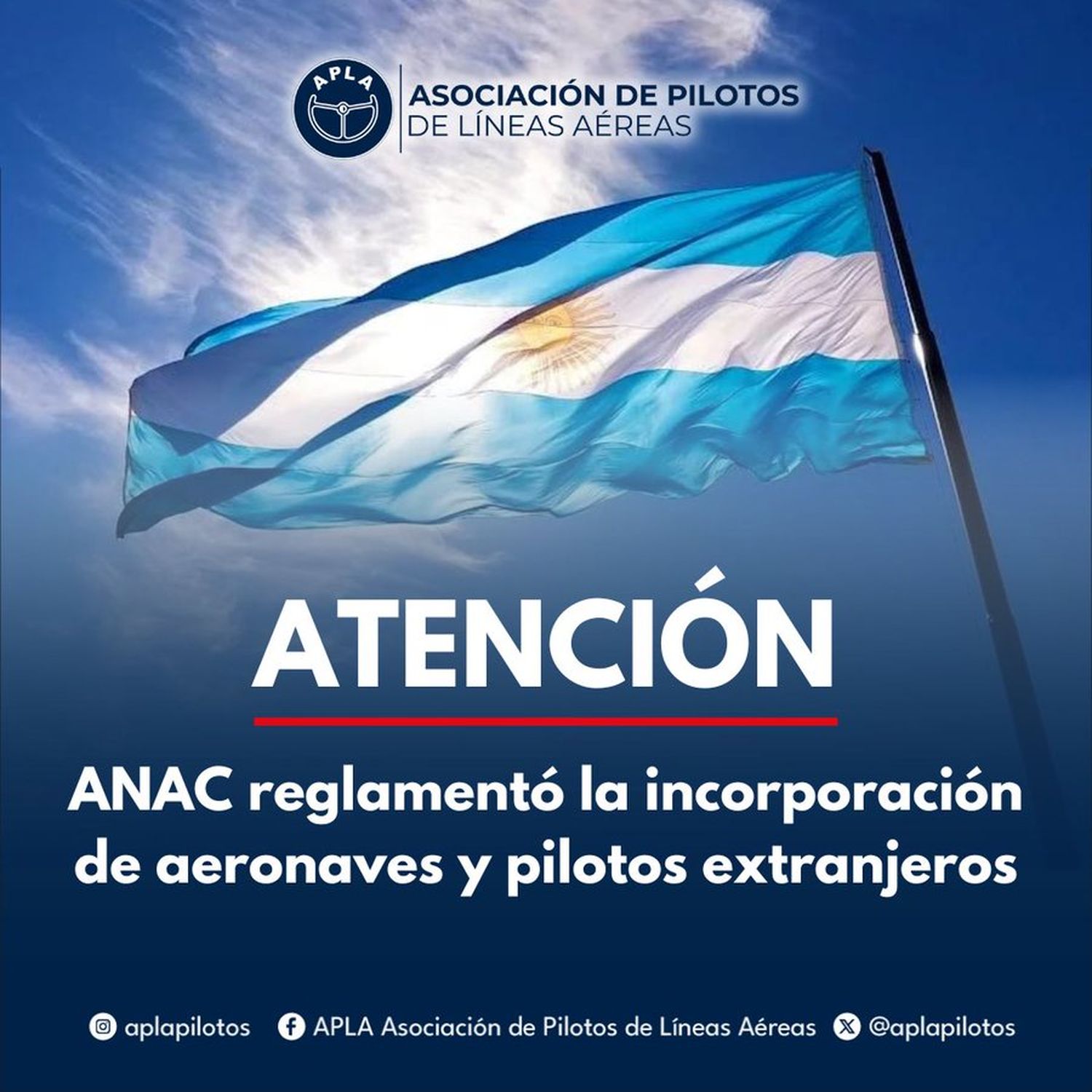 APLA contra la reglamentación de las operaciones de aeronaves y tripulantes con matrícula extranjera