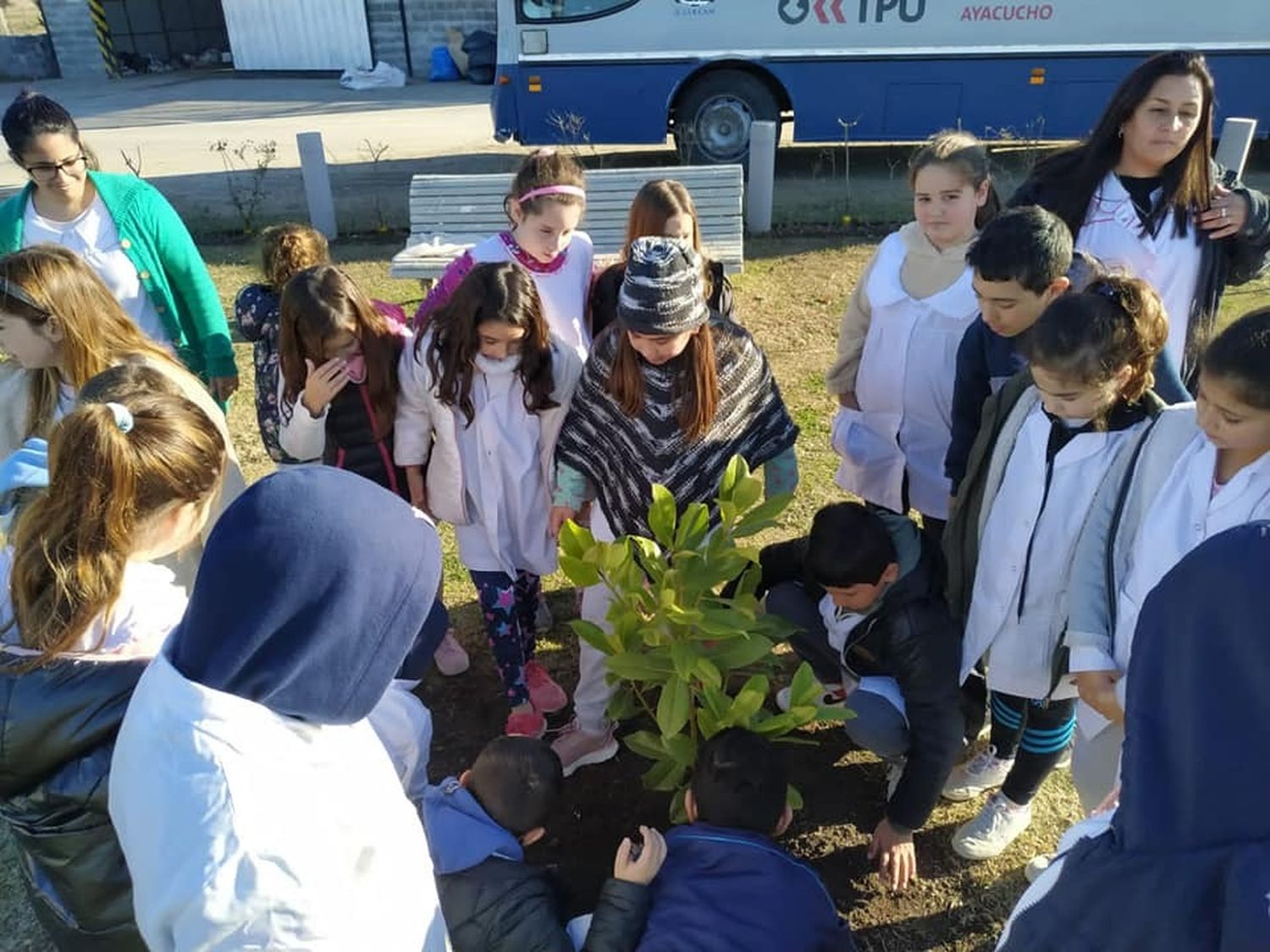 Festival Ambiental Ayacucho - 4