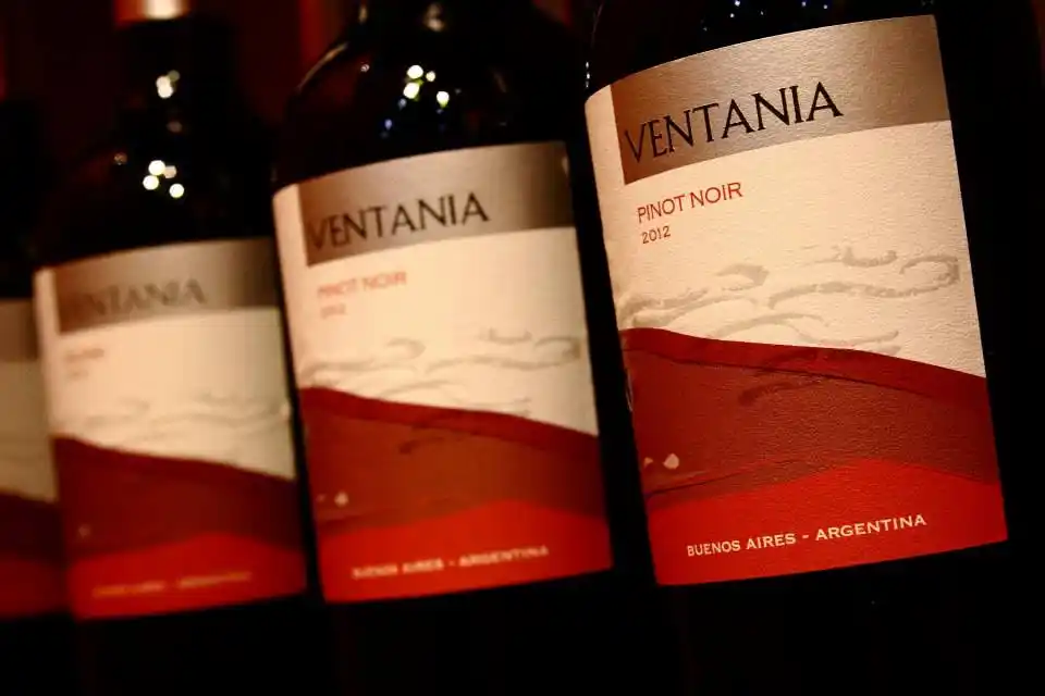 Se aprobó la ley del “Vino Buenos Aires”