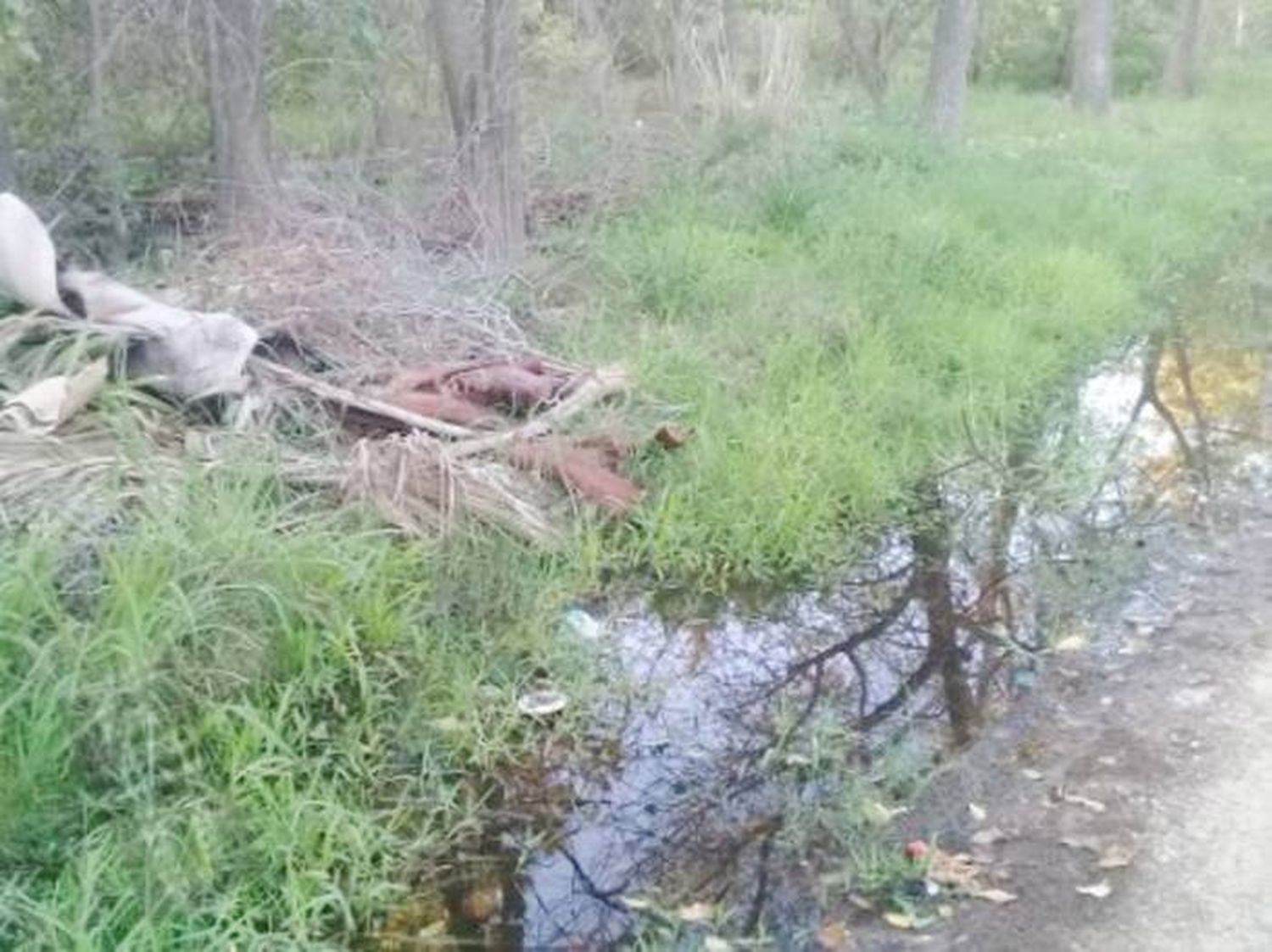 Vecinos del barrio Golf Club denuncian que terreno baldío es un foco infeccioso