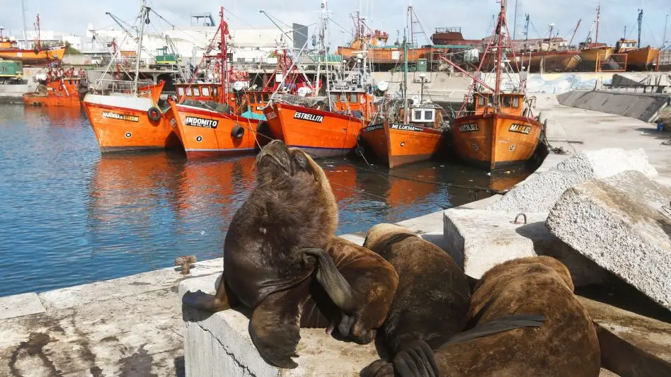 Persisten los chaparrones y el frío en Mar del Plata