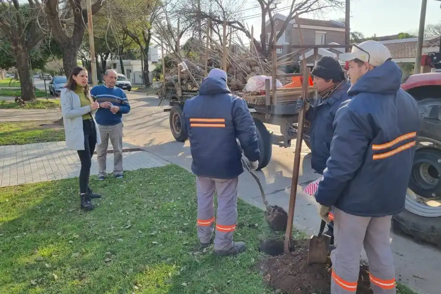 Rafaela suma  a sus calles con 2000 especies arbóreas