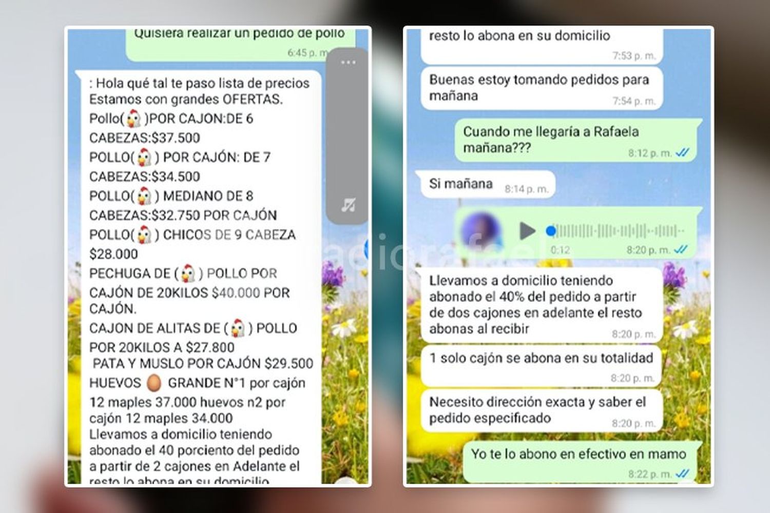 Estafa en Rafaela: denunciaron que compraron pollos por WhatsApp, pero nunca los recibieron