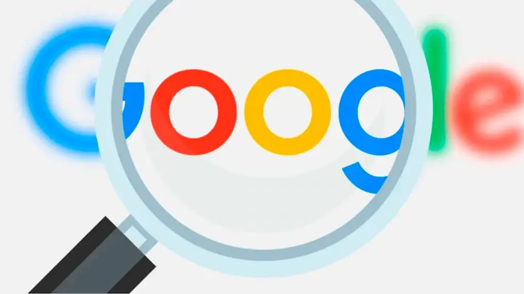 El 2019 en internet: Qué buscamos los argentinos