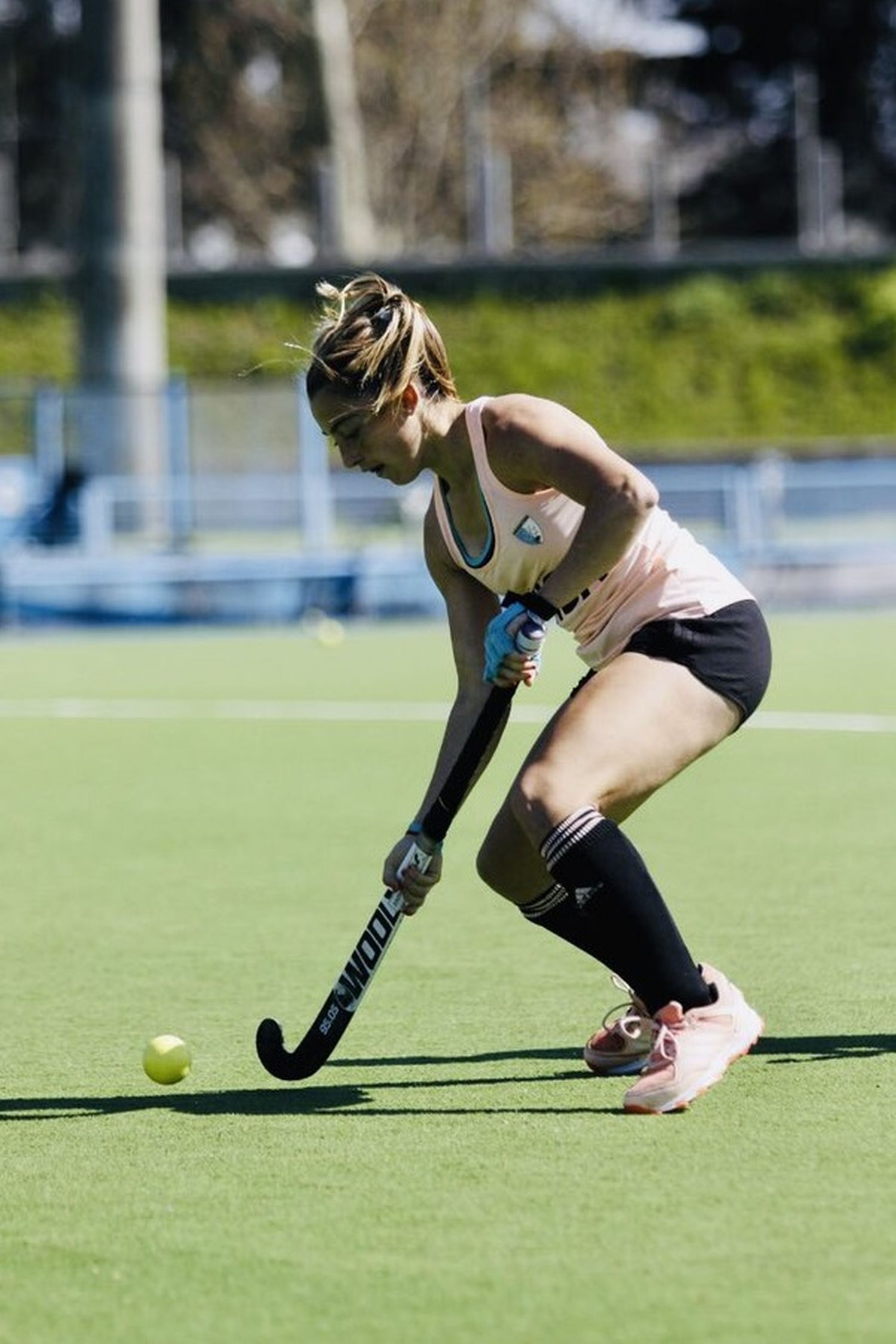 El viaje de Las Leonas a Pinamar será el lunes