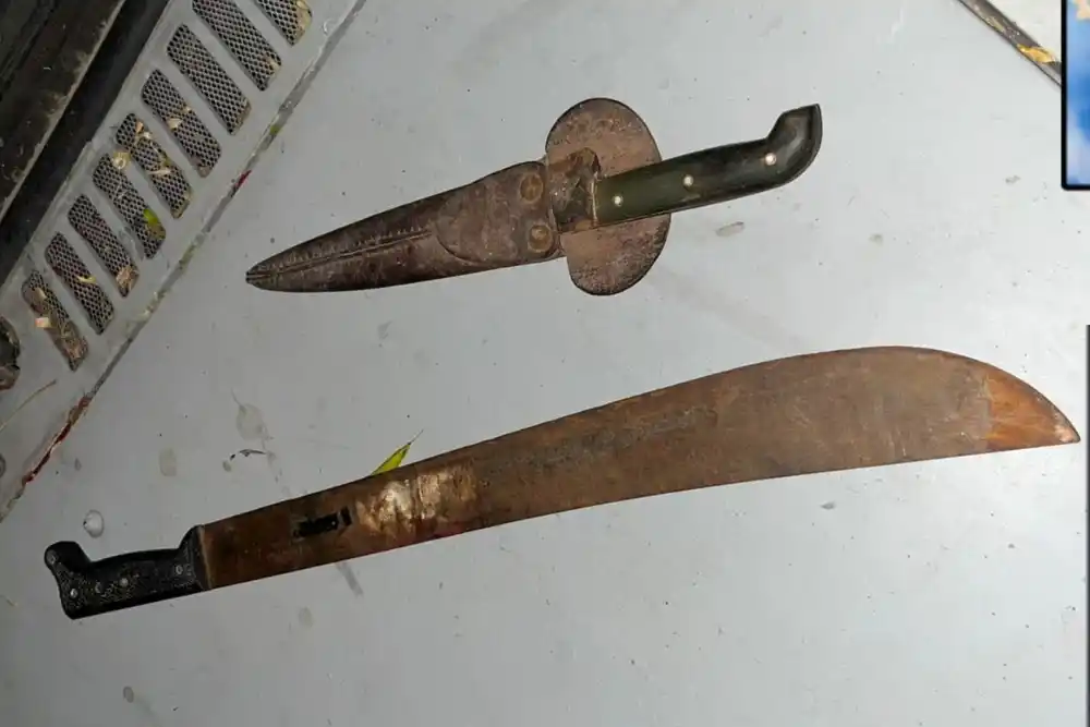 Elementos secuestrados.