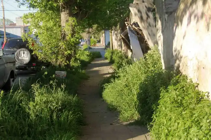 Un abandono total en 44 y 61