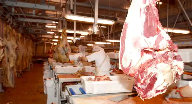 ¿Qué pasará con las exportaciones de carne?