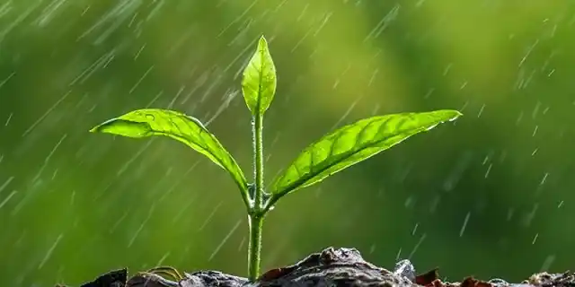 Una transición favorable