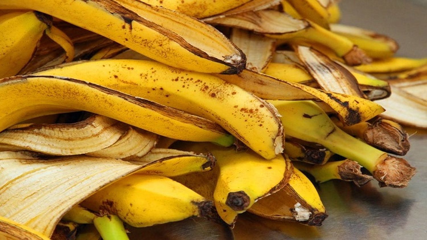 COMAN CONCHAS DE PLÁTANO: la recomendación del régimen cubano a sus ciudadanos