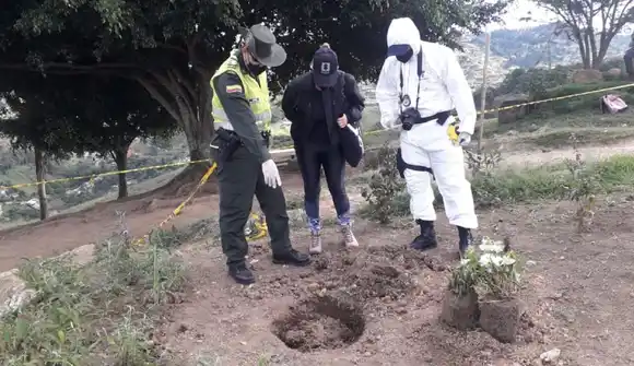 ¡HORRORIZADOS! Hallan 43 gatos muertos con signos de maltrato y abuso sexual en Medellín