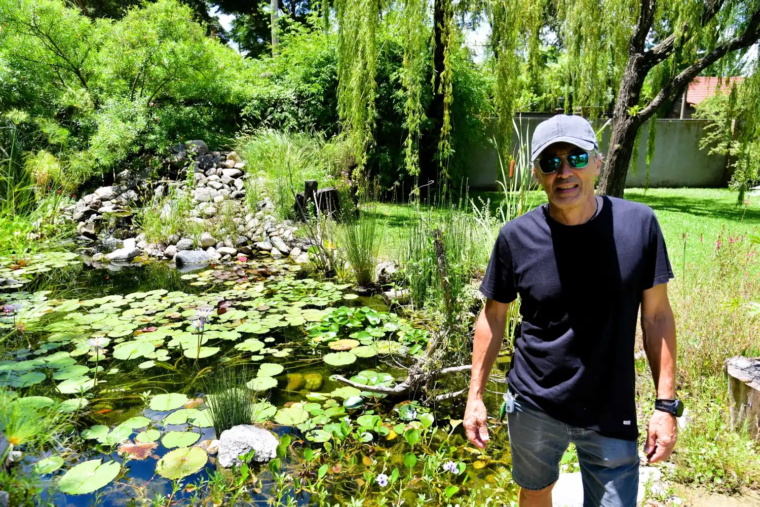 El estanque que se volvió un mini ecosistema en barrio Las Rosas.