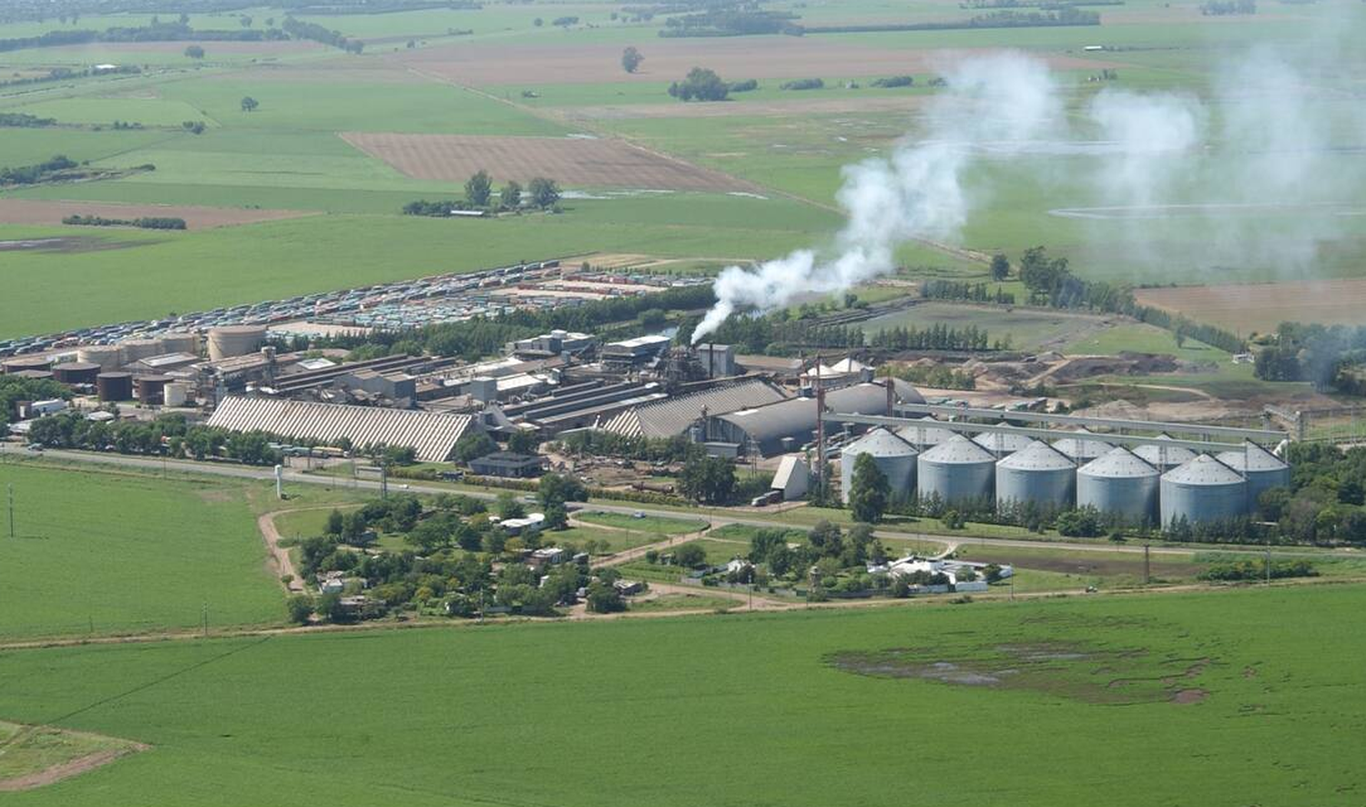 Aval judicial a una decena de fazones para reactivar plantas paradas de Vicentin