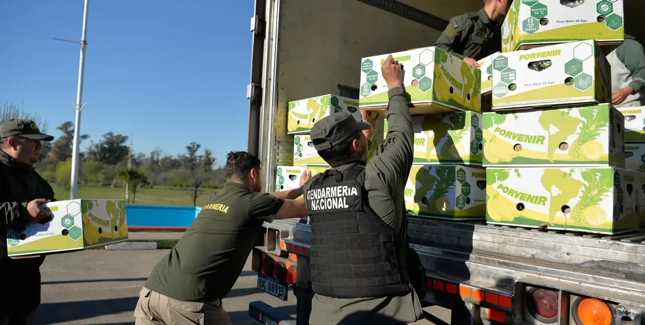 Atraparon a un traficante de banana con un 'condimento especial': tenía más de 400kg de cocaína oculta