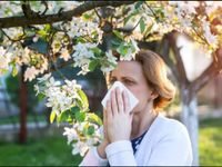 Alergia primaveral: 5 tips clave para reducir el polen