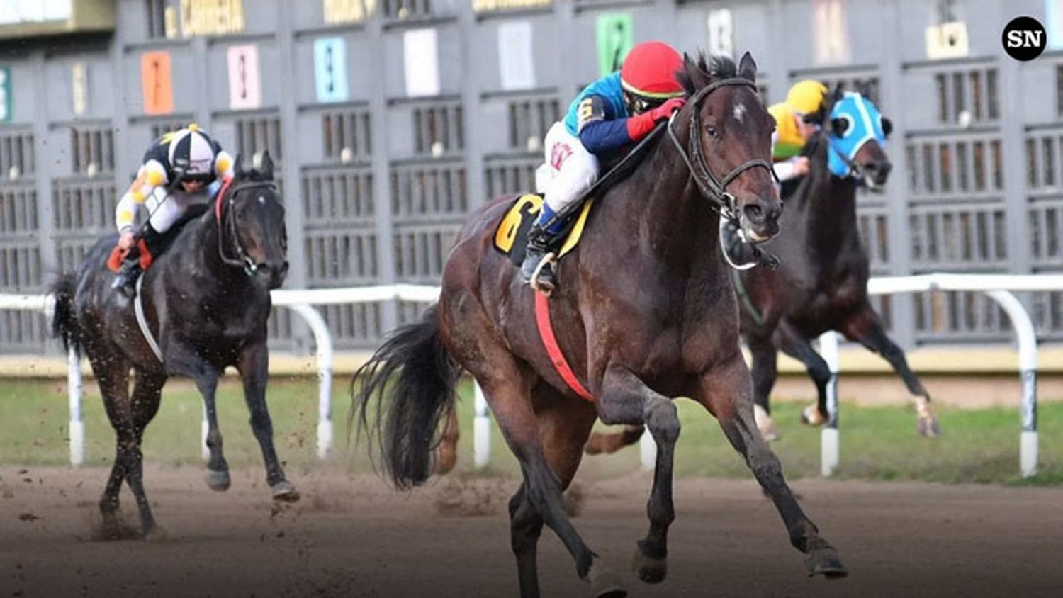 Viernes 8: Actividad Hipódromo de San Isidro