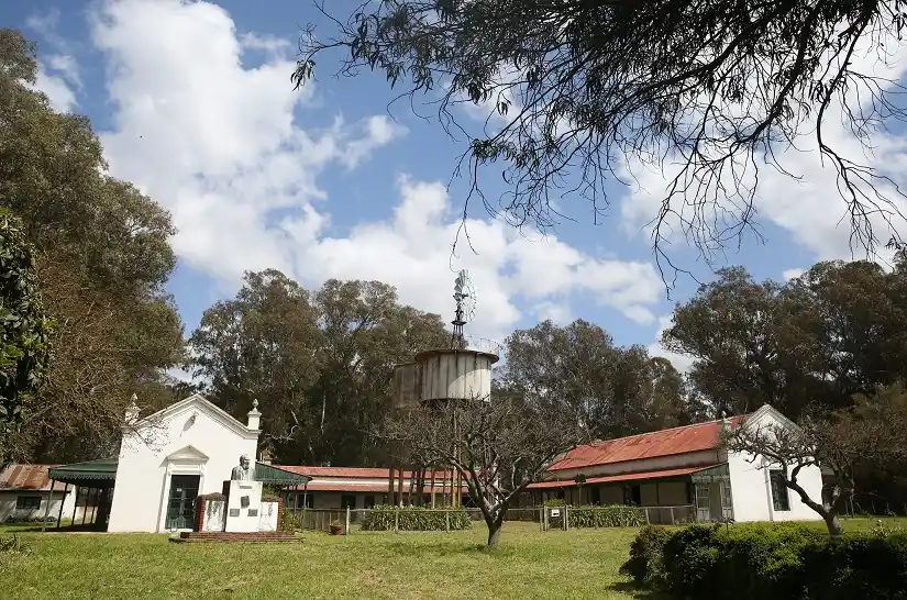 Mar del Plata: los museos imperdibles para visitar en tu estadía