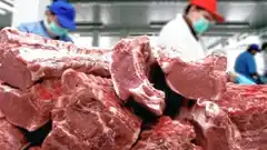 Siete cortes de carne más consumidos seguirán con precios cuidados: los valores