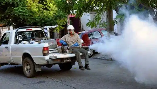 Dengue: epidemia en Brasil y Paraguay complica a Argentina