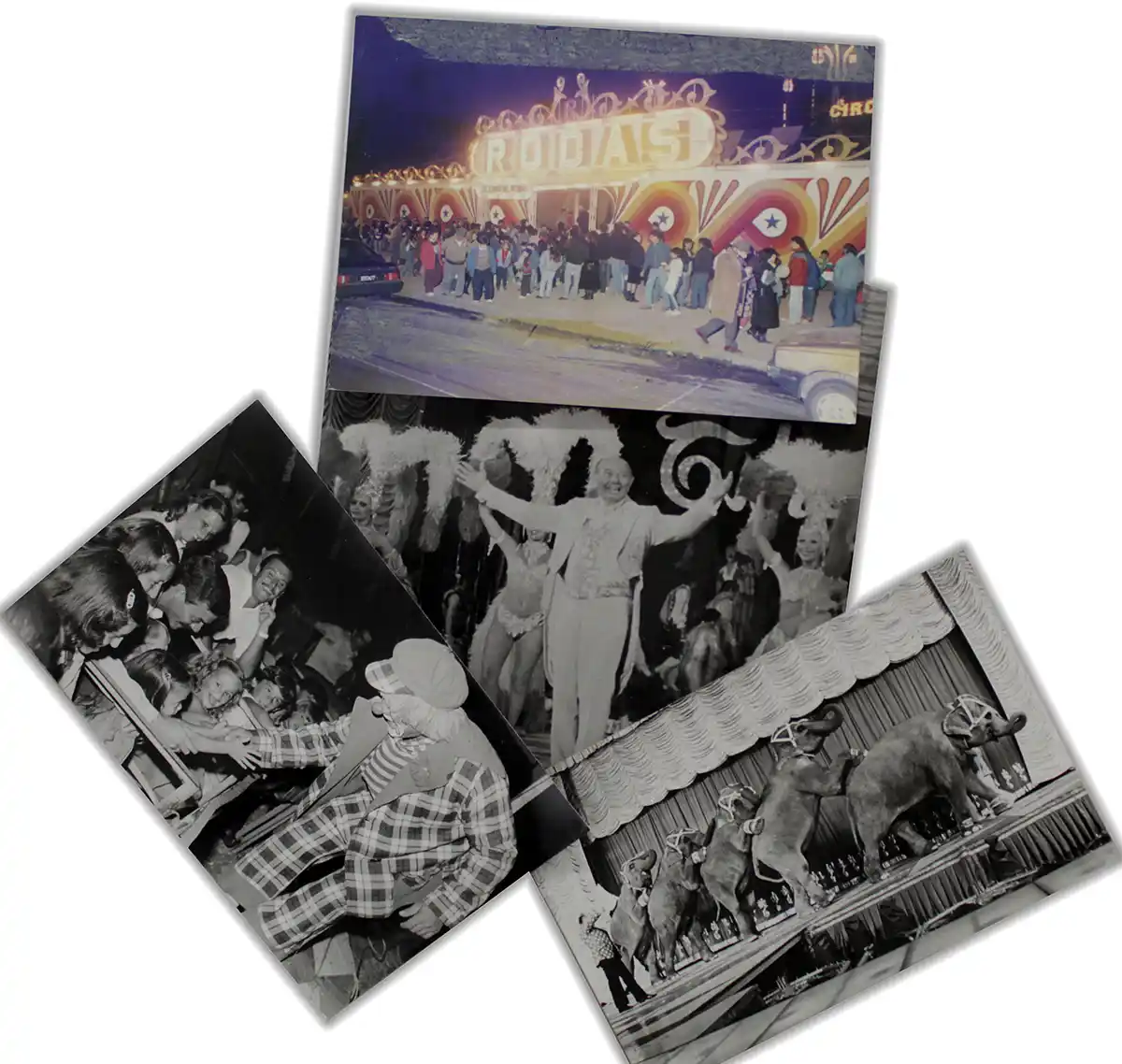 Circos