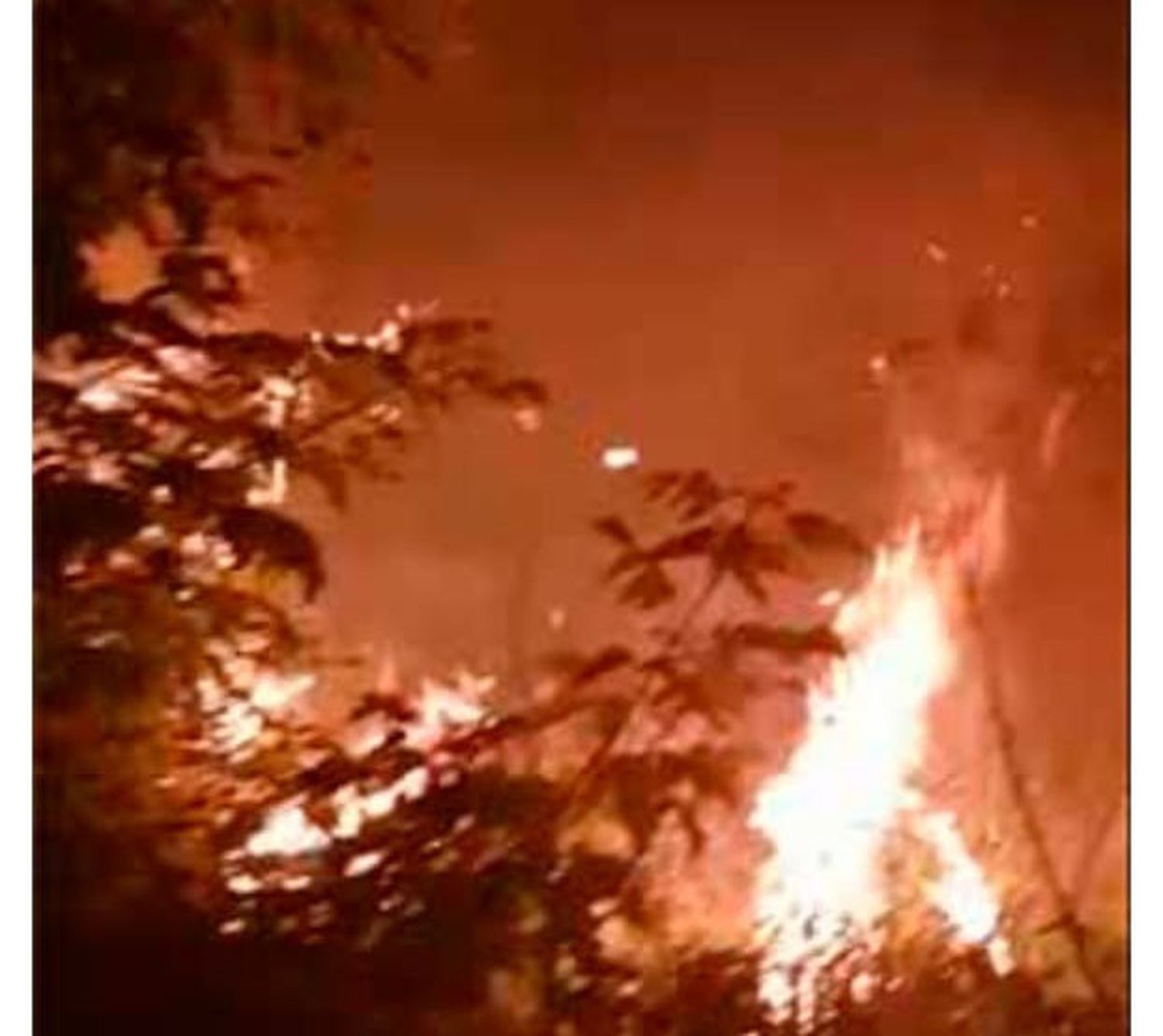 Angustia y miedo de un vecino por un incendio