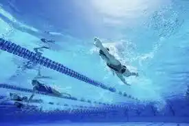 Encuentro de Escuelas de Natación