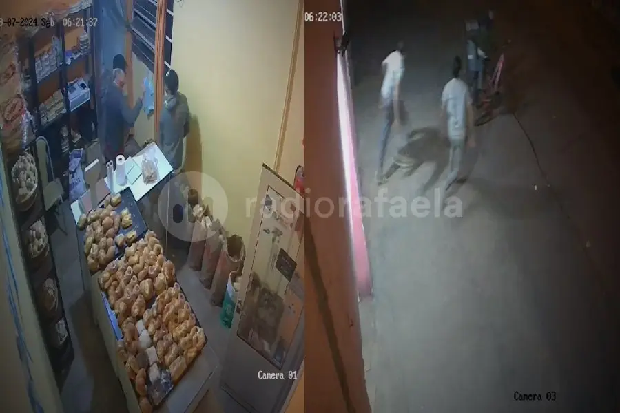 Entró a robar a una panadería con un arma de juguete y terminó linchado por los empleados