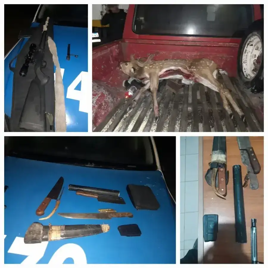 ciervos abatidos y armas - 3