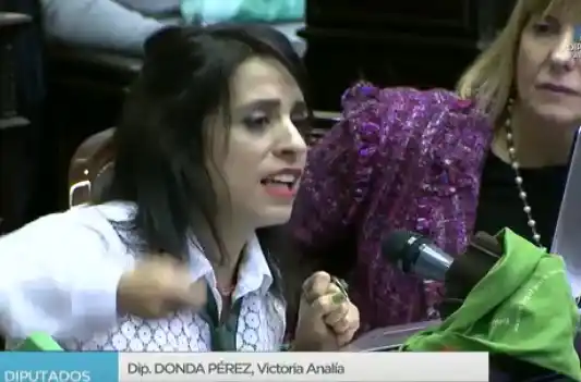 Aborto: seguí en vivo el histórico debate en la Cámara de Diputados
