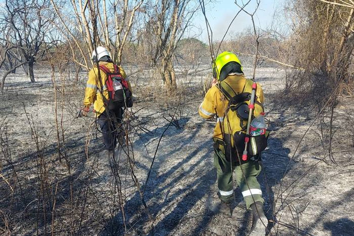 Sofocaron el incendio en la  Isla Puente y monitorean el terreno