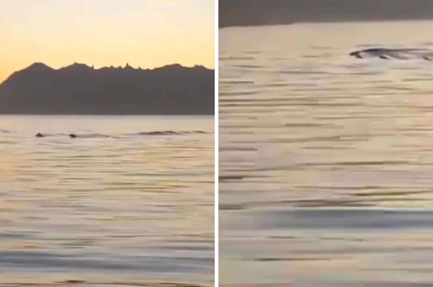 Dos jóvenes lograron captar una extraña figura en la superficie del Lago Nahuel Huapi. (Foto: gentileza LMNeuquén)