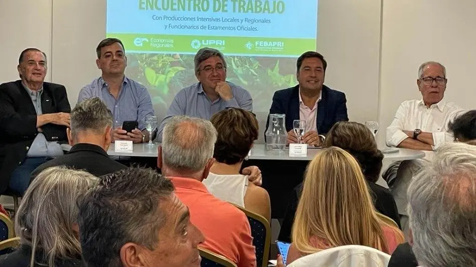 Frutihortícolas: "Recién se aprobó la emergencia, esto hace que perdamos hectáreas productivas"