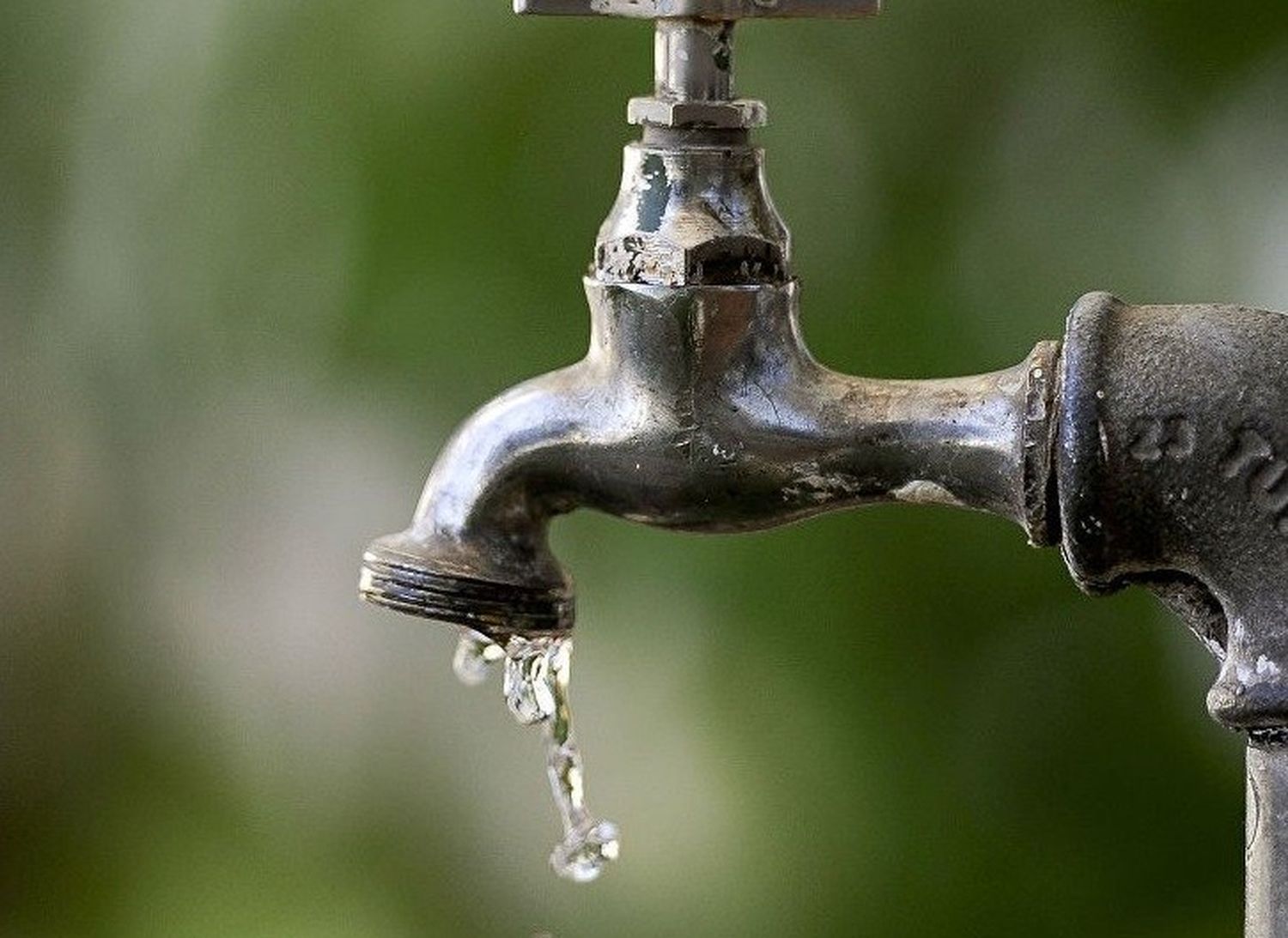 Una denuncia que pone en cuestión el control municipal con respecto a la calidad del agua de red de la ciudad.