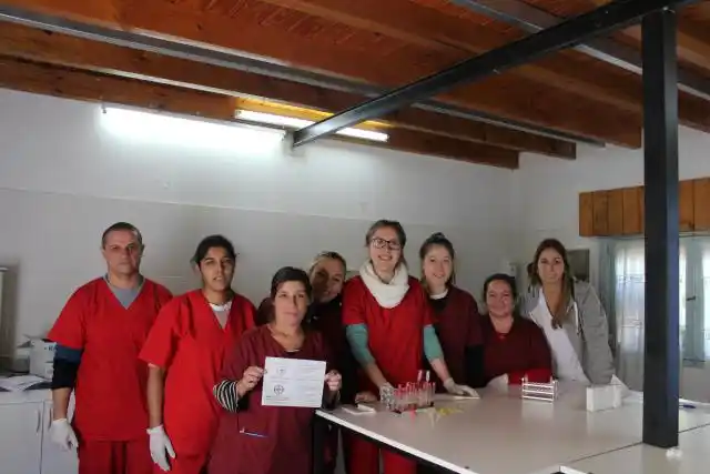 Desde Cruz Roja se preparan actividades por el Día Mundial del Donante Voluntario de Sangre