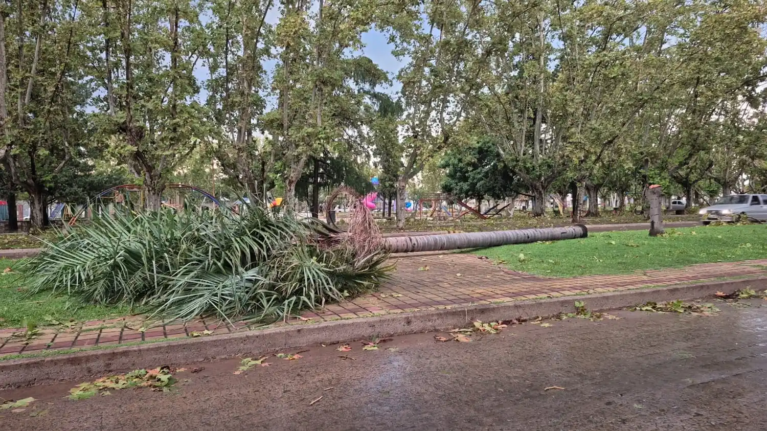 temporal casilda - 1