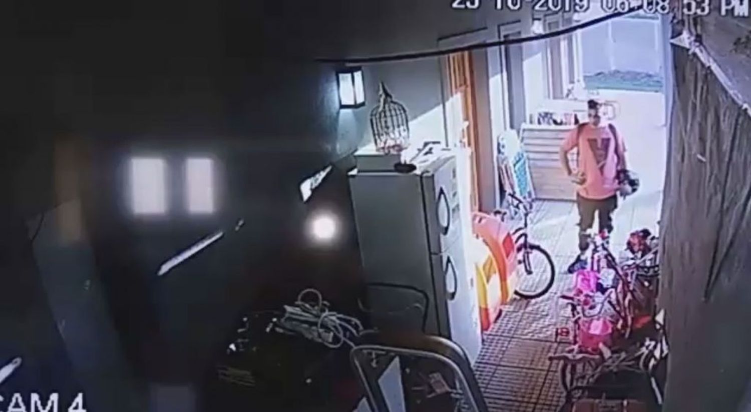 Robó, quedó registrado en las cámaras y un vecino lo reconoció al ver el video