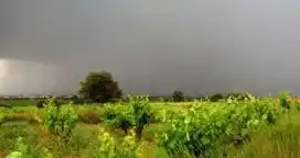 Desde el Litoral, las lluvias se trasladan al centro de la región agrícola

