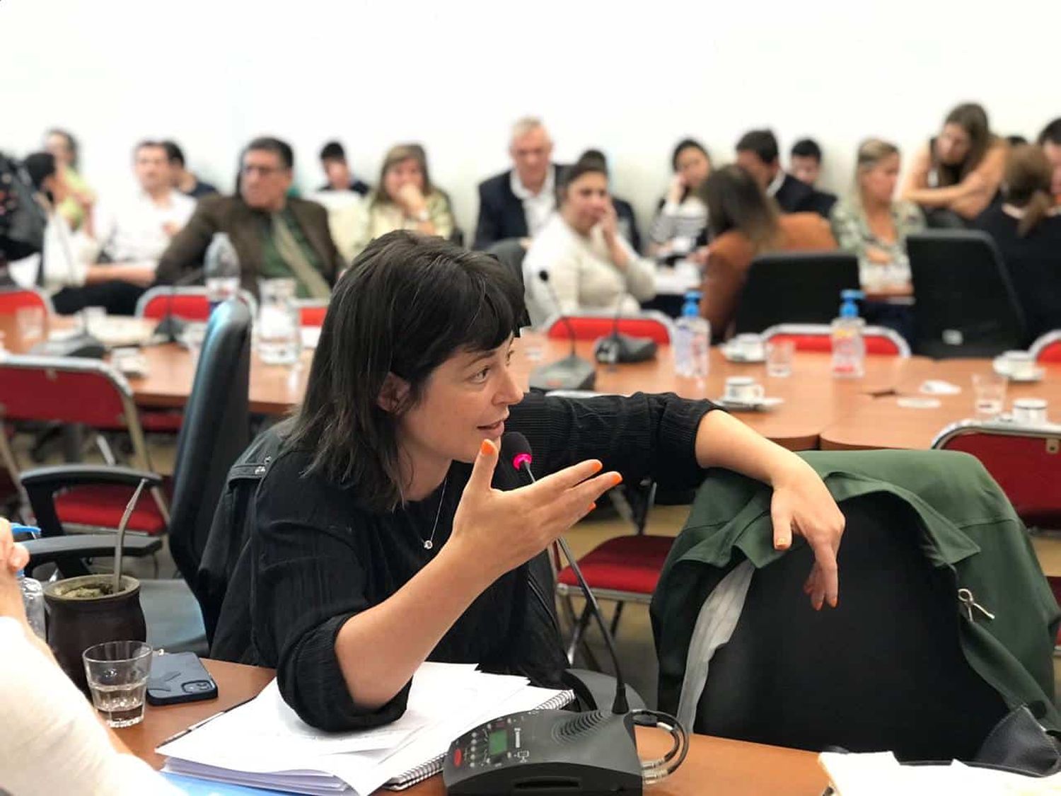 «Está en los jueces de la Corte venir o no a defenderse al Congreso», dijo Gaillard