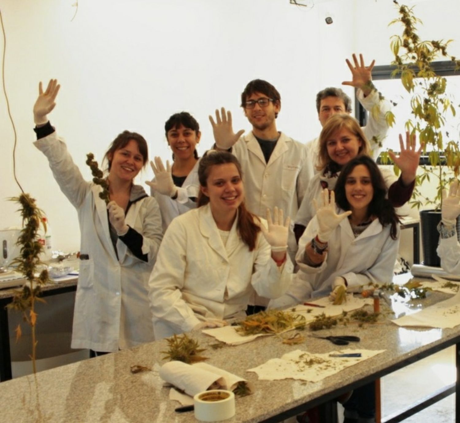 Cannabis y Salud: Buscan vincular los estudios académicos con la sociedad