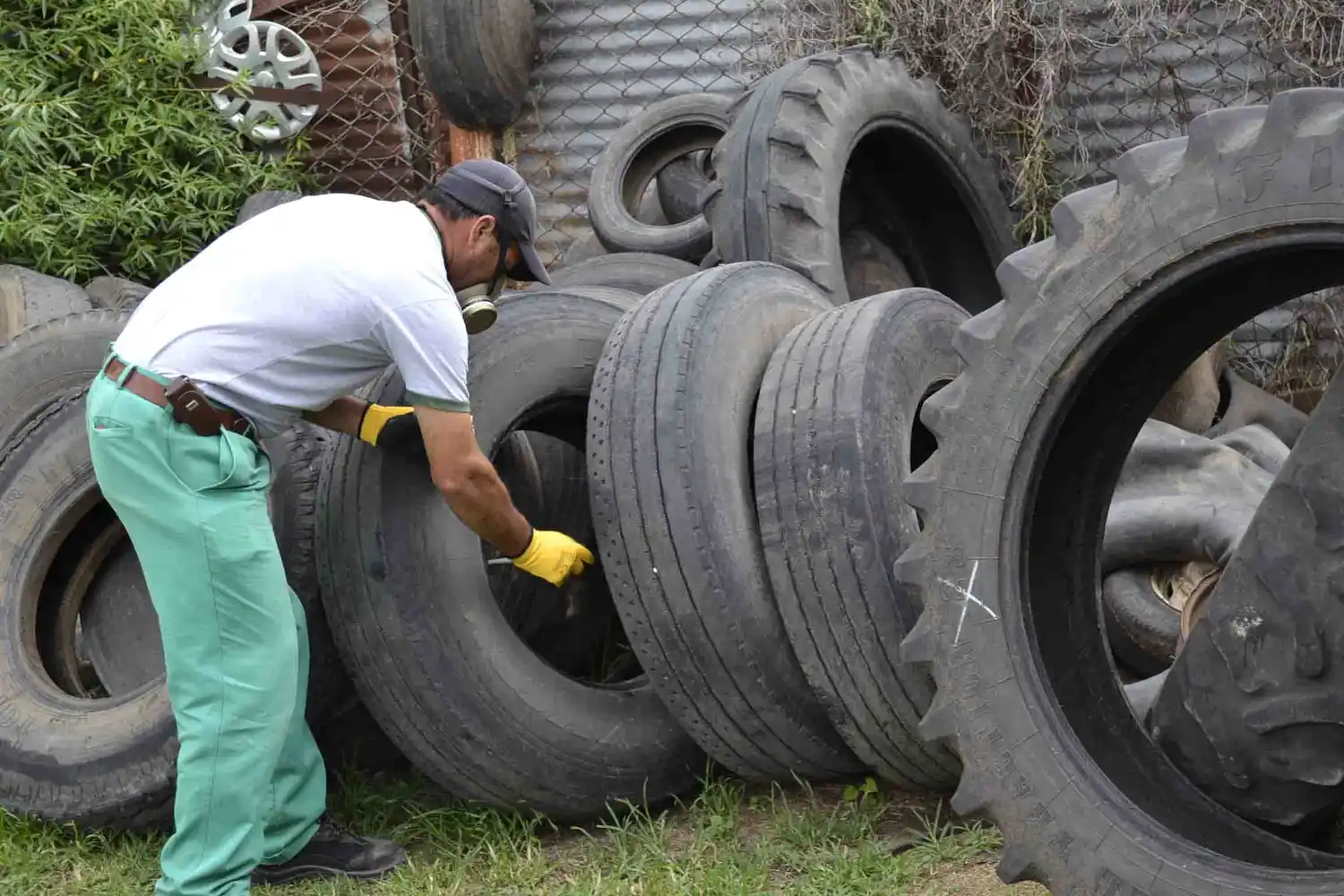 Dengue: Se realizarán controles en gomerías de la ciudad